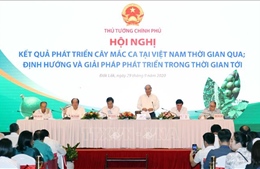 Thủ tướng Nguyễn Xuân Phúc: Cây mắc ca &#39;đi sau nhưng phải về trước&#39;