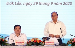 Thủ tướng Nguyễn Xuân Phúc chủ trì Hội nghị phát triển cây mắc ca tại Việt Nam