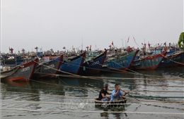 Thừa Thiên – Huế: Không cho tàu thuyền ra khơi từ ngày 6/10 do thời tiết nguy hiểm