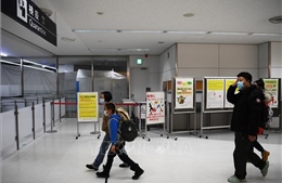 Nhật Bản xem xét hạ cảnh báo đi lại quốc tế