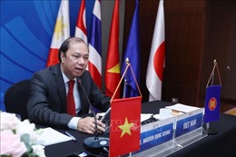 Hội nghị các Chuyên gia Cấp cao Đông Á về hợp tác ứng phó COVID-19