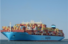 Việt Nam sắp đón &#39;siêu tàu&#39; chở container lớn nhất thế giới
