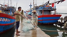 Quảng Nam: Nghiêm cấm tàu thuyền ra khơi; khẩn trương chằng chống nhà cửa