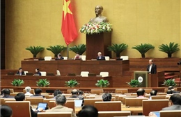  Xử lý vi phạm phải đảm bảo đúng người, đúng tội, đúng pháp luật