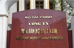 Nhiệm vụ, cơ chế hoạt động Công ty Mua bán nợ Việt Nam