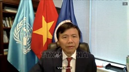 Việt Nam đề cao vai trò của luật pháp quốc tế nhằm duy trì hòa bình và an ninh ​