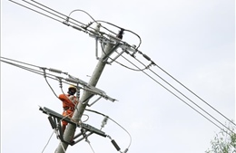 Khắc phục sự cố, cấp điện lại cho 100% khách hàng tại Phú Yên sau bão số 9
