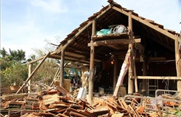 Vương quốc Anh viện trợ 500.000 bảng Anh cho người dân Việt Nam khắc phục ảnh hưởng bão lũ