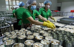 Nông sản Việt ra thị trường thế giới - Bài 1: Gia tăng hàng rào phi thuế quan