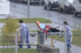 Tình hình dịch bệnh COVID-19 ngày 26/11