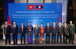 Chiêu đãi nhân kỷ niệm 45 năm Quốc khánh Cộng hòa Dân chủ Nhân dân Lào