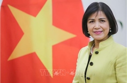 Việt Nam tham dự Khóa họp Ủy ban Điều phối WIPO lần thứ 79