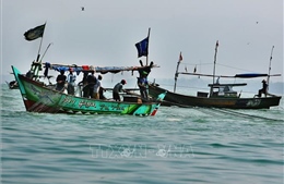 Indonesia, Australia nhất trí chương trình xóa bỏ nạn đánh bắt cá bất hợp pháp
