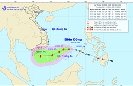 Theo dõi chặt chẽ diễn biến của áp thấp nhiệt đới, đảm bảo an toàn tàu thuyền