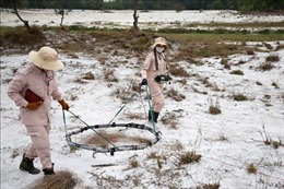 Quảng Trị phấn đấu mỗi năm rà phá 3.000 ha đất nhiễm bom mìn