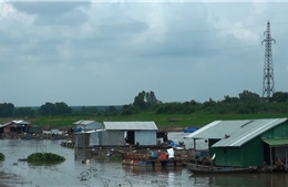 70 hộ nuôi cá bè trên sông La Ngà di dời đến địa điểm mới