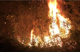 Bắc Kạn: Dập tắt đám cháy rừng đe dọa đường điện cao thế