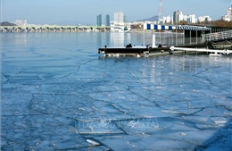 Sông Hàn ở Seoul đóng băng toàn mặt sông