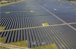 Hoàn thành nhà máy điện mặt trời đóng góp gần 400 triệu kWh cho lưới điện quốc gia