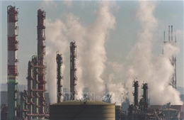 Nồng độ CO2 trong khí quyển ảnh hưởng đến sự phát triển của phổi