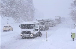 ít nhất 134 xe ô tô đâm liên hoàn do bão tuyết tại Nhật Bản