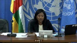 HĐBA Liên hợp quốc họp bàn về tình hình bất ổn tại CH Trung Phi