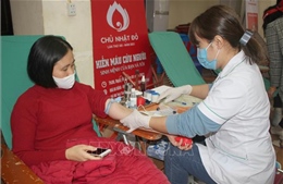 Lan tỏa phong trào hiến máu tình nguyện tại Ngày Chủ nhật đỏ