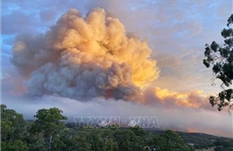 Cháy rừng lan rộng ở Perth (Australia) 