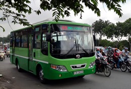 TP Hồ Chí Minh kiến nghị sử dụng xe buýt loại nhỏ theo đặc thù hạ tầng đô thị