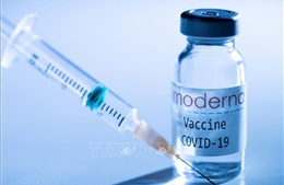 Moderna thử nghiệm lâm sàng vaccine ngừa biến thể virus ở Nam Phi 