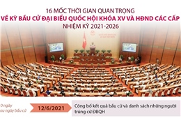 16 mốc thời gian quan trọng về kỳ bầu cử ĐBQH khóa XV và HĐND các cấp 