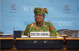 WTO dưới thời lãnh đạo mới: Cải cách để vững mạnh  