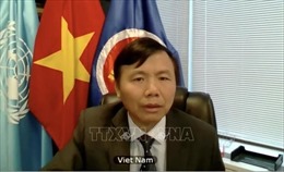 Việt Nam đánh giá cao và ủng hộ hoạt động của Phái bộ gìn giữ hòa bình tại Nam Sudan