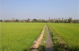Đắk Nông: Thanh tra việc quản lý, sử dụng đất trồng lúa tại 2 huyện trọng điểm