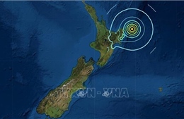 New Zealand công bố công cụ hỗ trợ ứng phó khẩn cấp đối với động đất