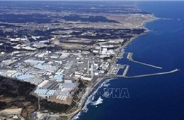 LHQ: Thảm họa hạt nhân Fukushima không gây ảnh hưởng lớn đến sức khỏe của người dân