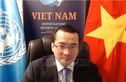 Việt Nam ủng hộ tăng cường hợp tác giữa Liên hợp quốc và OSCE