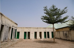 Nigeria đẩy lùi một vụ tấn công vũ trang nhằm vào trường học