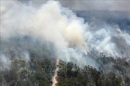 Tiềm ẩn tác hại môi trường nghiêm trọng từ các đám cháy rừng ở Australia