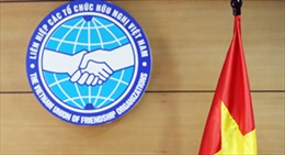 Thủ tướng phê duyệt Điều lệ Liên hiệp các tổ chức hữu nghị Việt Nam
