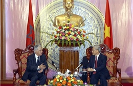 60 năm quan hệ ngoại giao Việt Nam-Maroc: Nâng quan hệ song phương lên tầm cao mới