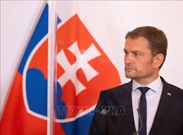 Thủ tướng Slovakia muốn từ chức để chấm dứt khủng hoảng chính trị