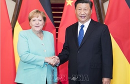 Chủ tịch Trung Quốc đề nghị Đức, EU hợp tác thúc đẩy quan hệ