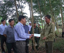 Cà Mau tập trung mọi nguồn lực giữ cho rừng tràm U Minh Hạ an toàn bước qua mùa khô hạn