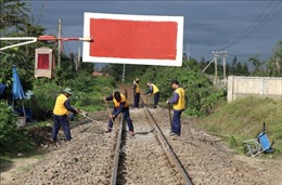 Thủ tướng Chính phủ giao Bộ Giao thông vận tải đặt hàng bảo trì đường sắt