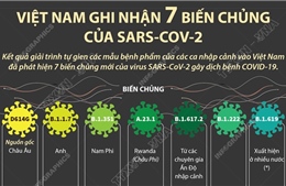 Việt Nam ghi nhận 7 biến chủng của SARS-CoV-2