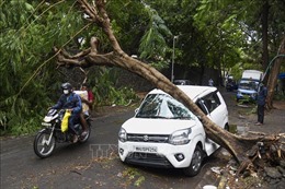 Số người thiệt mạng ở Ấn Độ do siêu bão Tauktae tiếp tục tăng