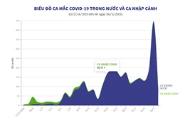 Biểu đồ ca mắc COVID-19 trong nước và ca nhập cảnh