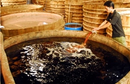 Tìm hướng phát triển nghề nước mắm truyền thống Phú Quốc