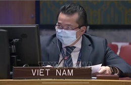 Việt Nam ủng hộ chống phổ biến vũ khí hủy diệt hàng loạt